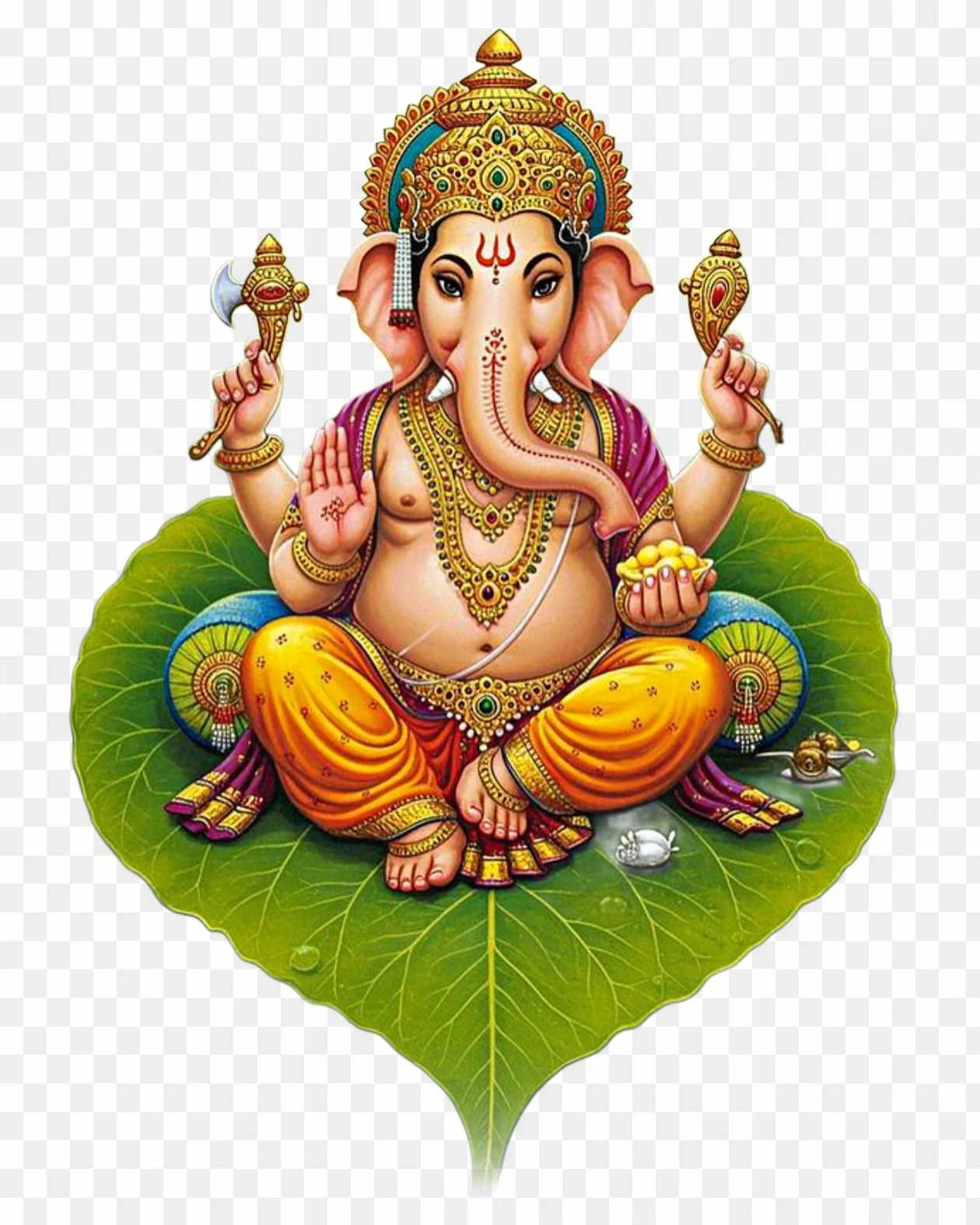 Description of the image